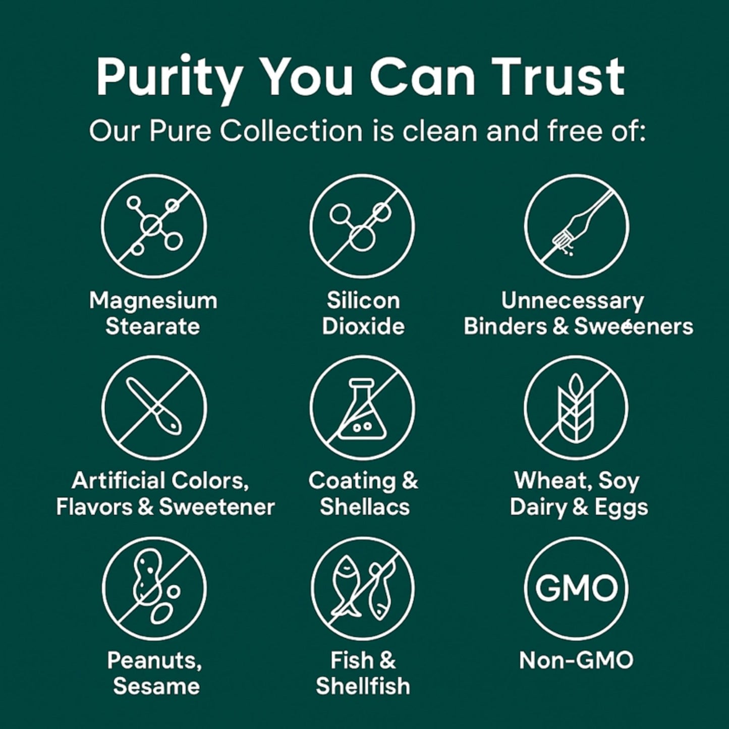 Turmeric Curcumin Capsules (1,000mg)