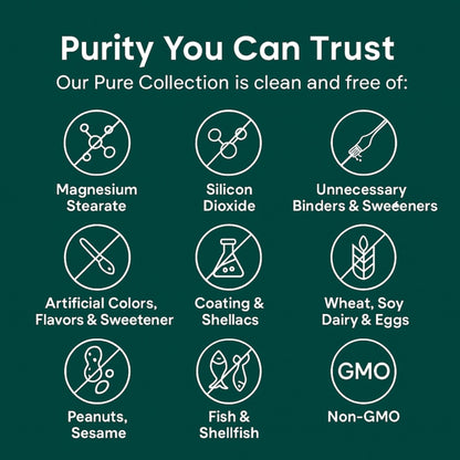 Turmeric Curcumin Capsules (1,000mg)